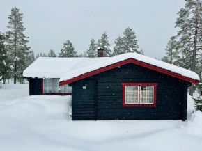 Sälentoppen